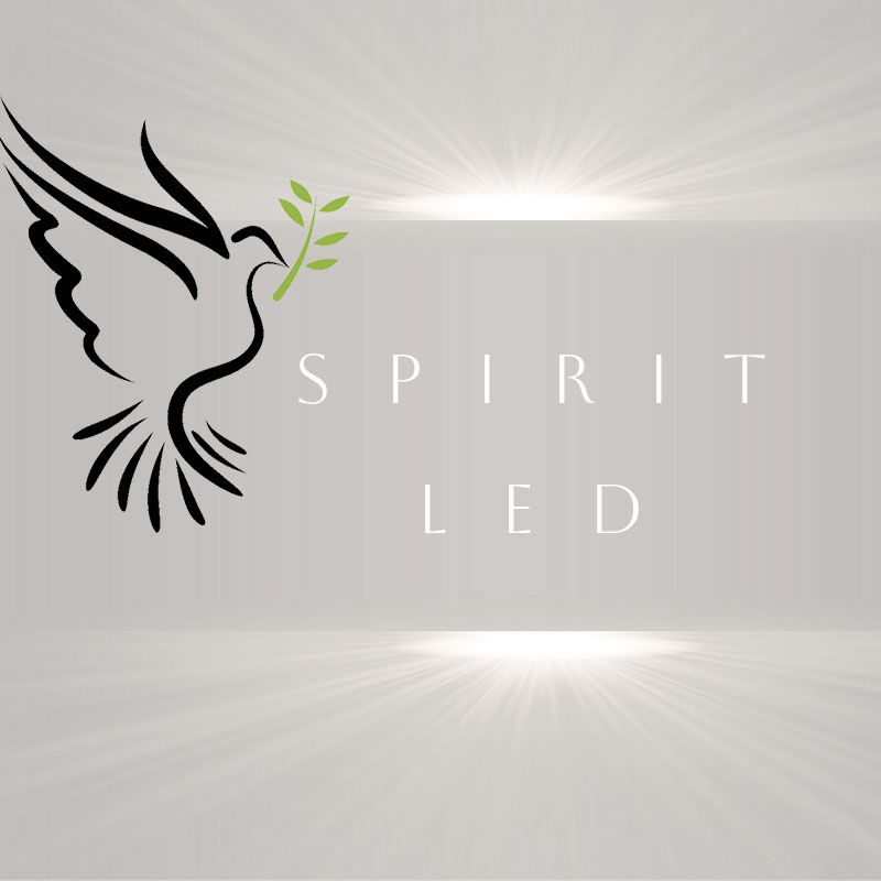 SPIRIT LED